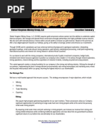 GK Executive Summary 1.2