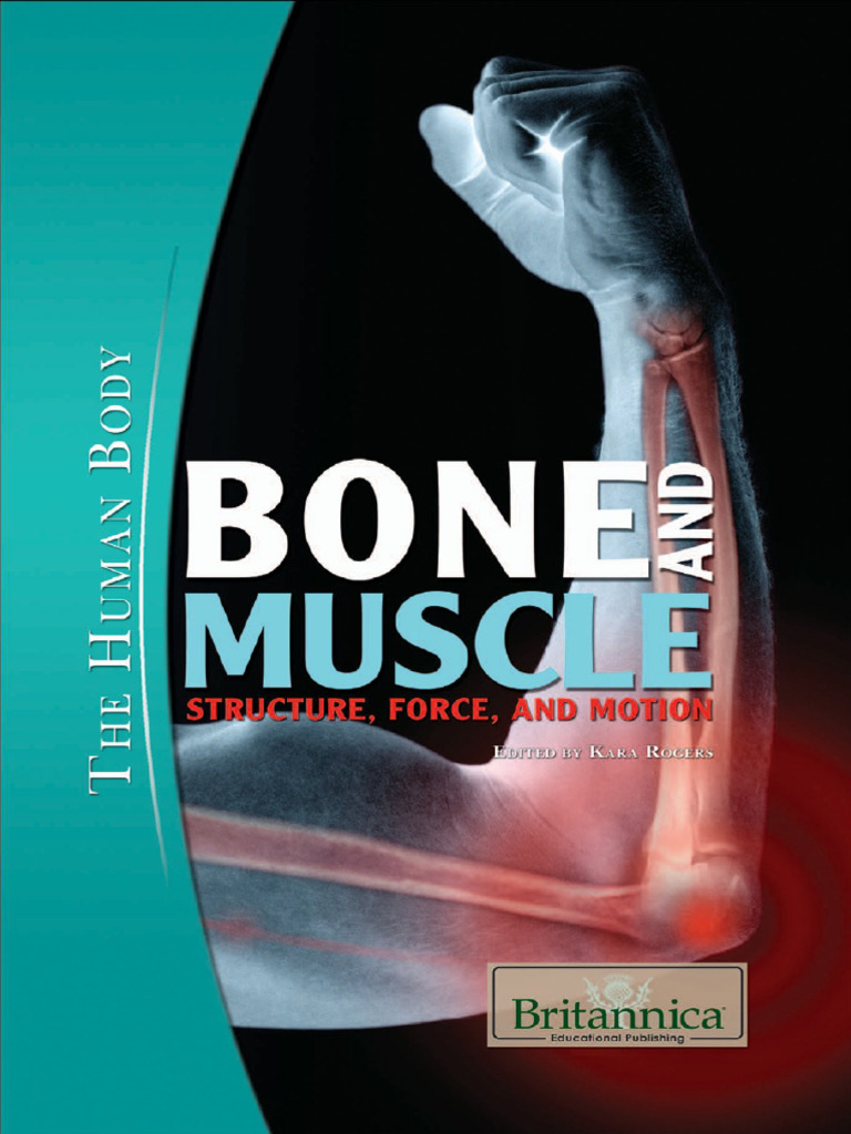 Bone and Muscle - Structure, Force, and Motion (PDFDrive) | PDF ...