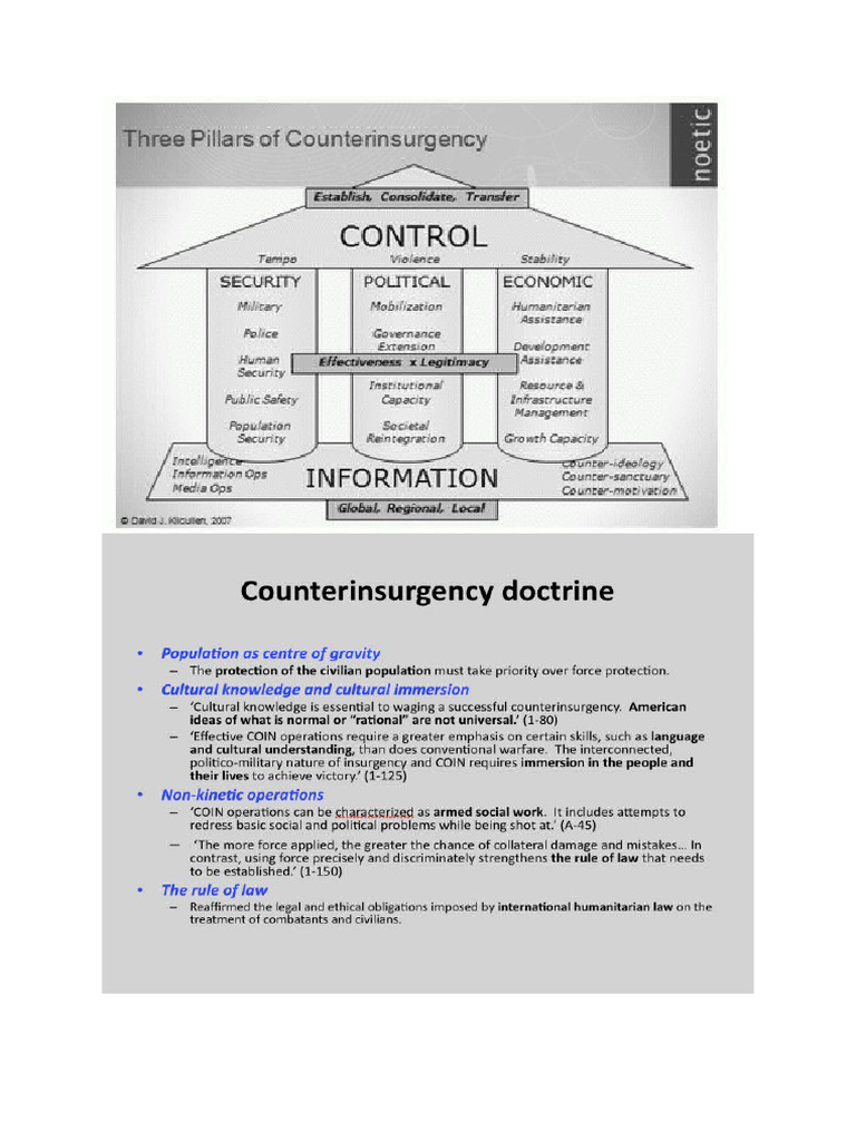 Counterinsurgency | PDF