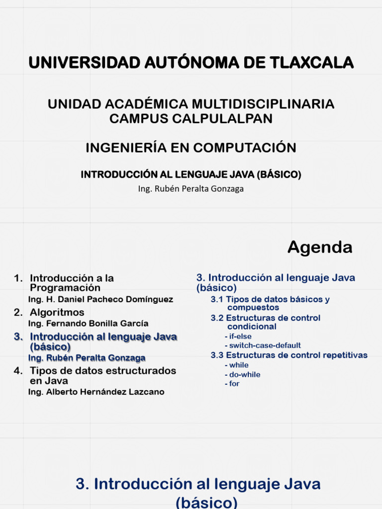 Sesión III Programación Java Básico | PDF | Tipo de datos | Lenguaje de ...