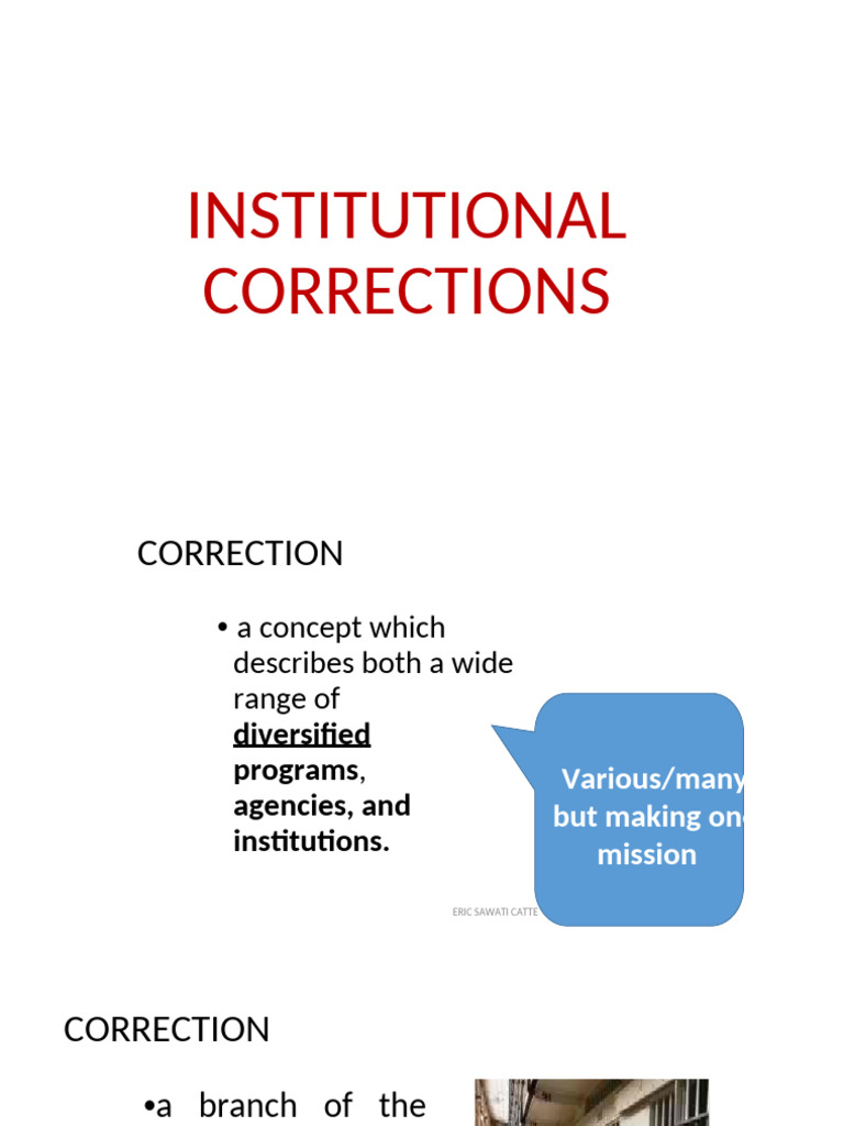 Institutional Correctional | PDF | Prison | Crimes