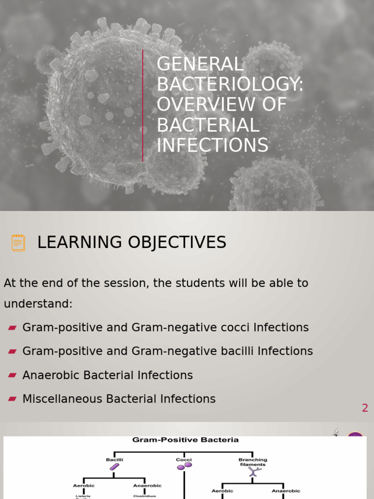 Overview of Bacterial Infections | PDF | Streptococcus | Bacteria