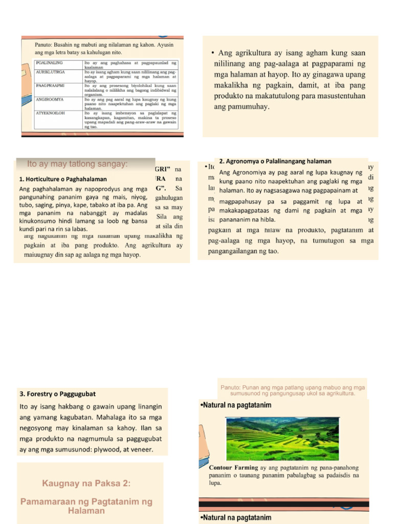 Rose | PDF