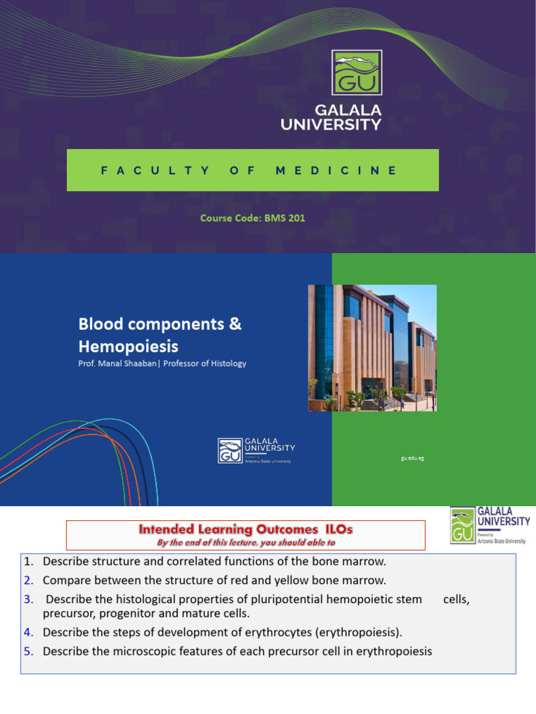 Blood Components and Hemopoiesis Overview | PDF | Bone Marrow ...