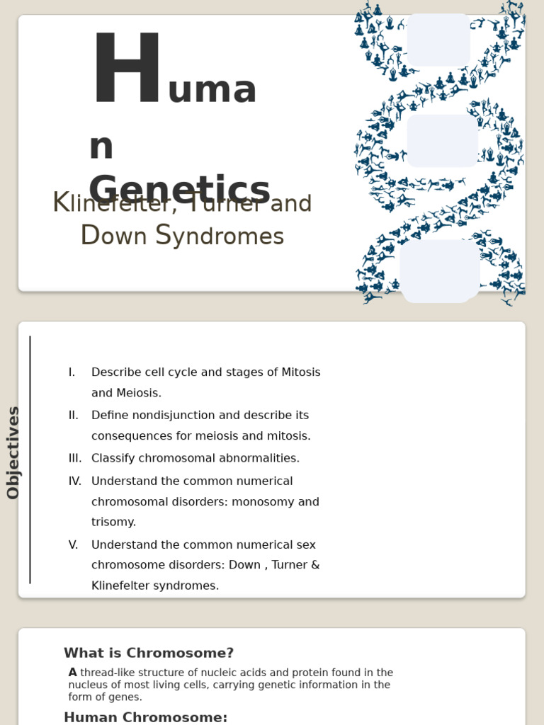 Klinefelter, Turner and Down Syndromes | PDF | Meiosis | Mitosis