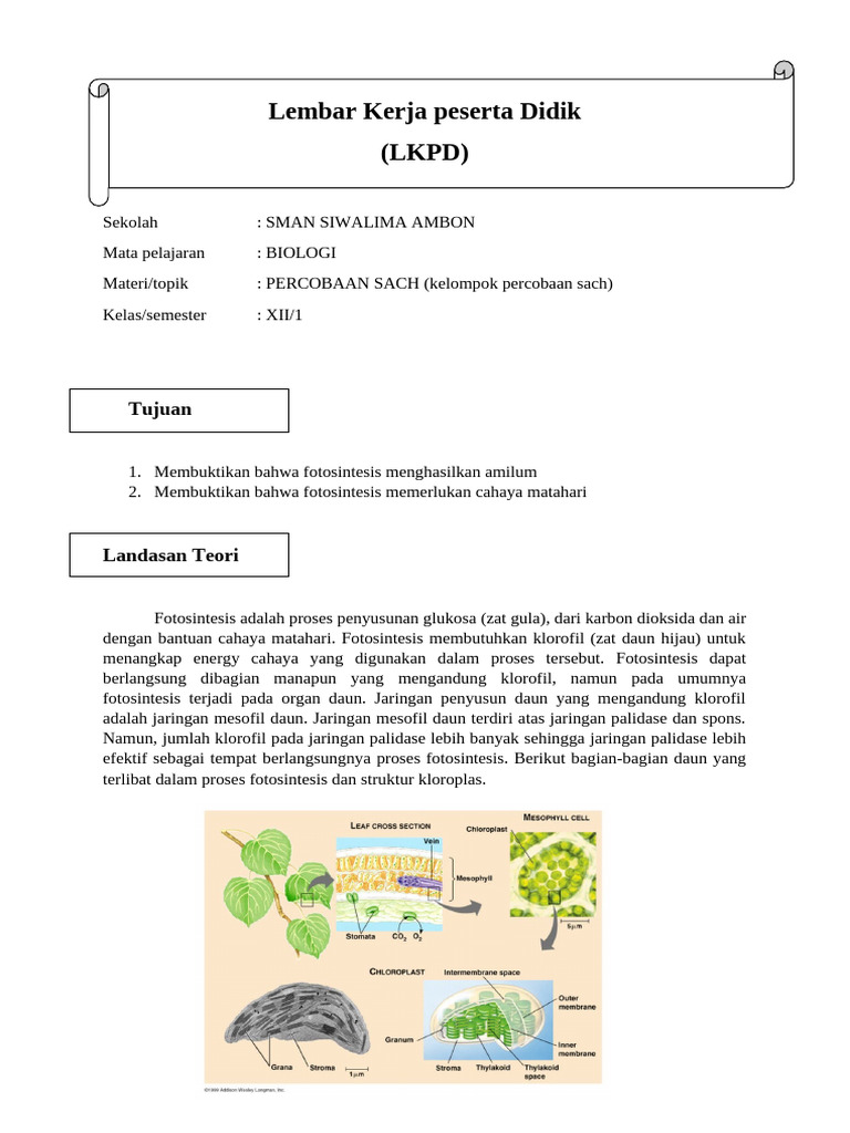 LKPD Biologi | PDF | Kesehatan Holistik | Sains & Matematika