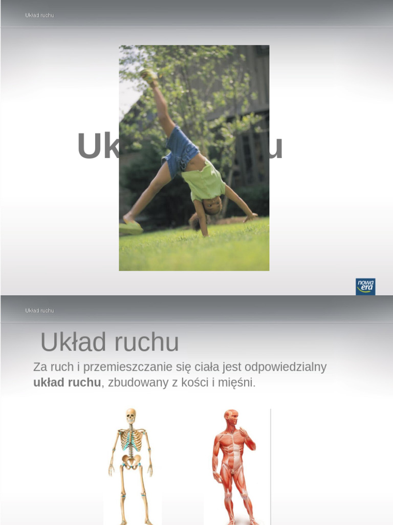Lekcja Multimedialna Uklad Ruchu | PDF