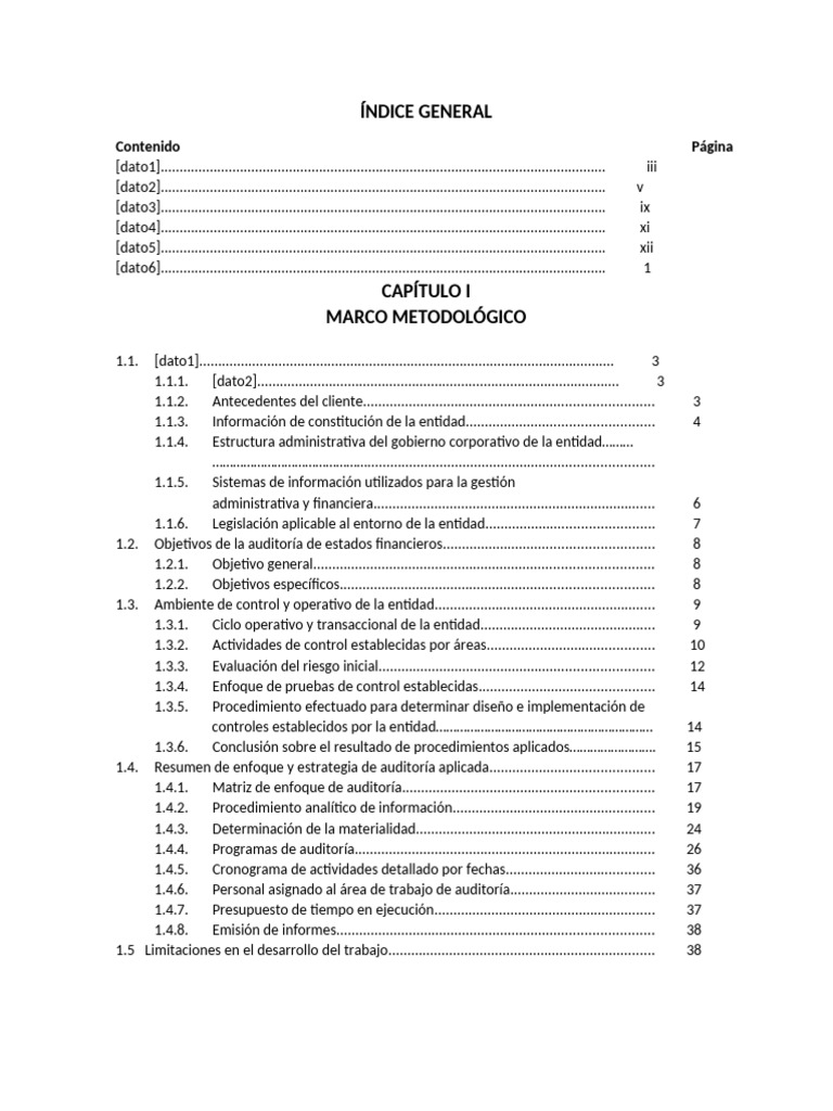 Índice General | PDF | Auditoría