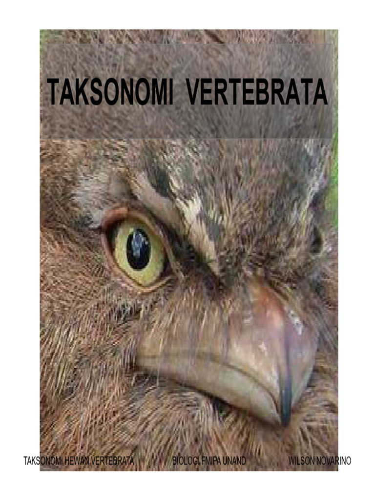 Taksonomi Hewan Vertebrata | PDF | Ilmu Sosial | Sains & Matematika