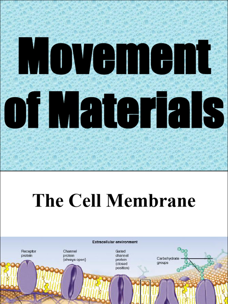 Movement of Materials Powerpoint | PDF | Osmosis | Cell Membrane