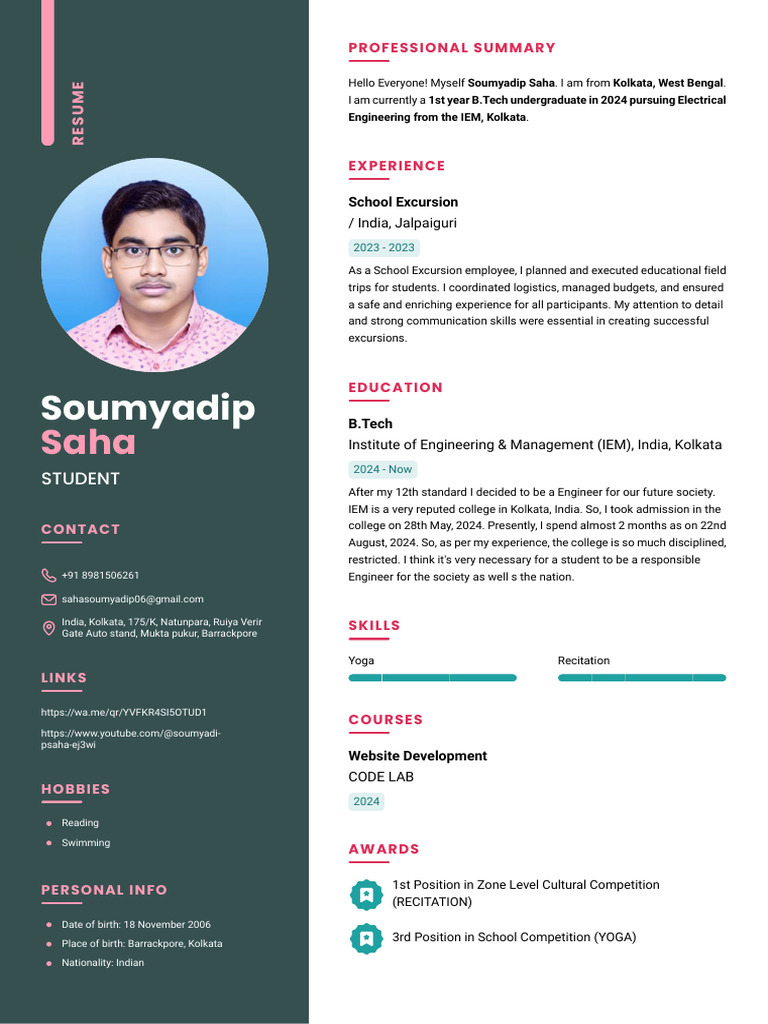 My Resume Pdf Engineering Business