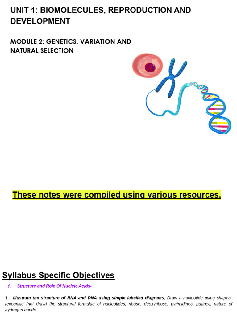 INTRODUCTION TO NUCLEIC ACIDS AND NUCLEOTIDES visual data 6