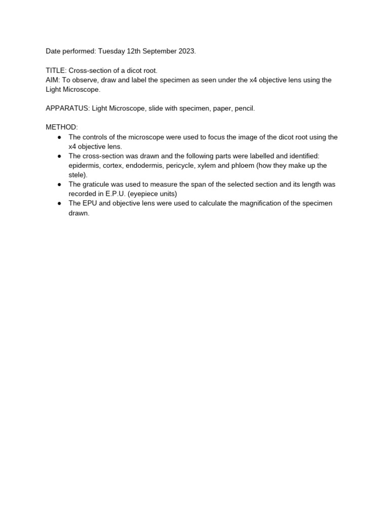 Dicot Root Lab | PDF