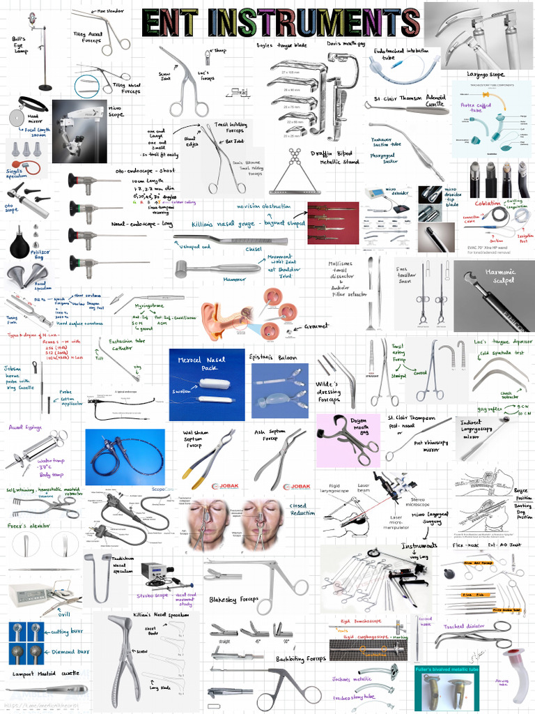 Otorhinolaryngology Instruments | PDF | Human Head And Neck ...