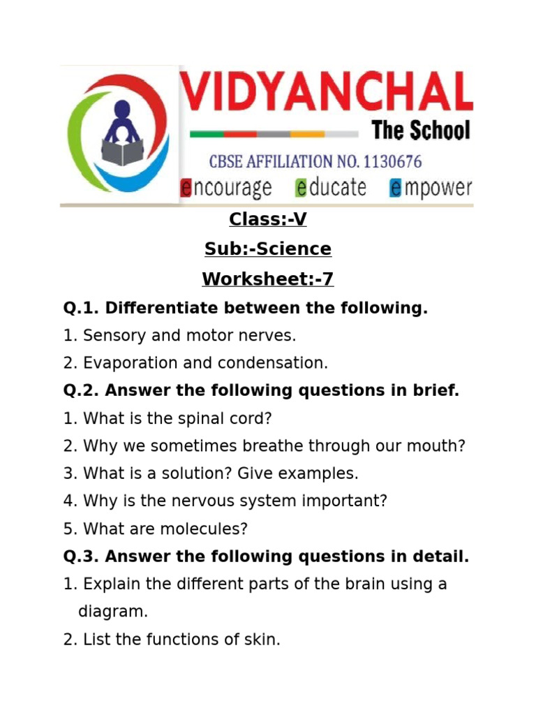 Class 5 Science Chapter 7 Q&A | PDF | Science & Mathematics