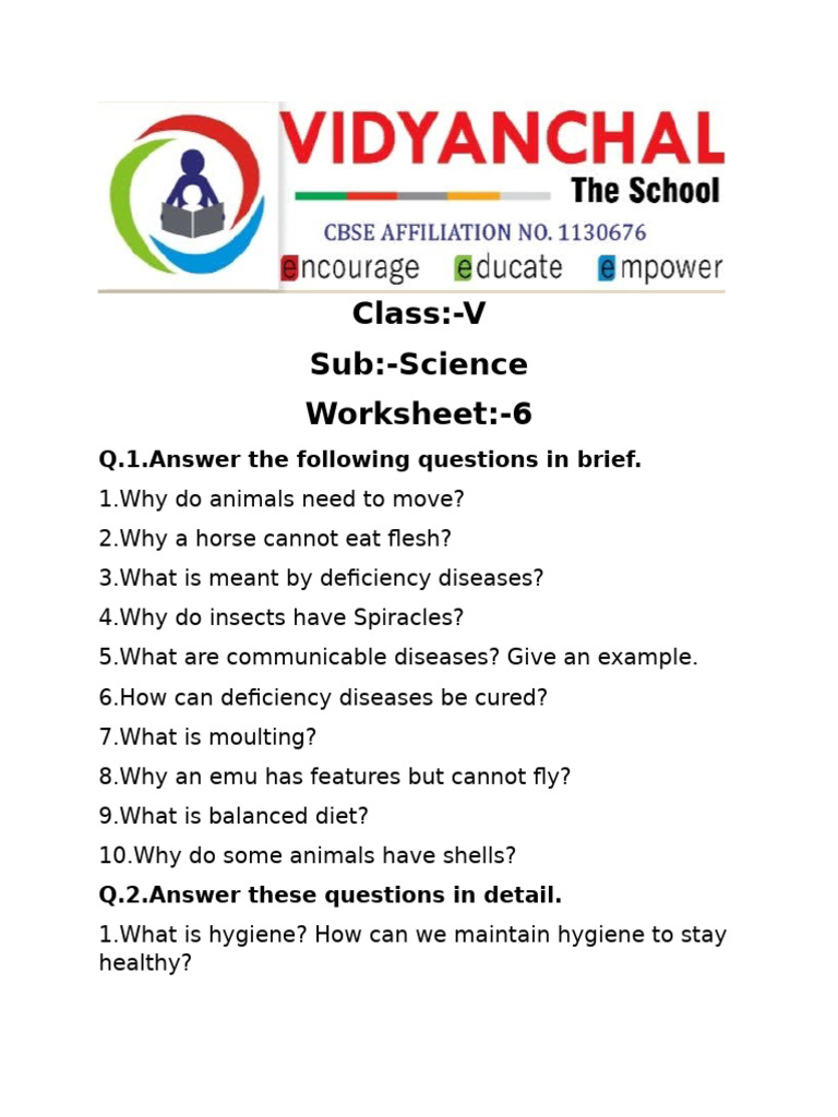 Class 5 Worksheet 6 | PDF