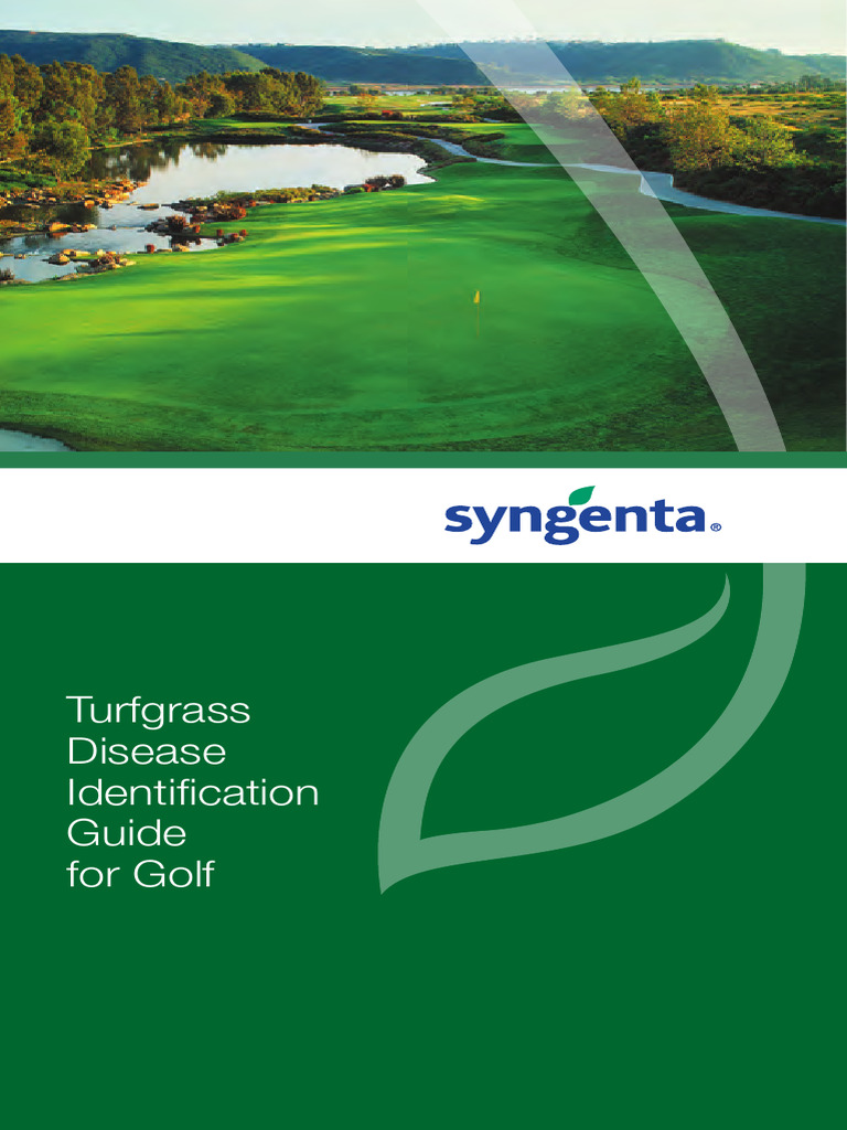Syngenta Diseaseid Guide | PDF | Plants | Botany