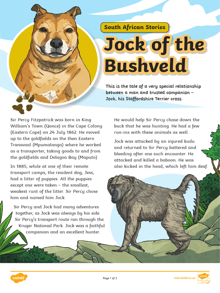 Jock of the Bushveld: A Loyal Companion | PDF | Linguistics | Grammar
