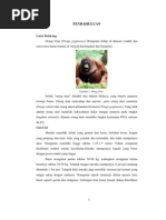 Download tkff by vicky faldliansah SN78222715 doc pdf