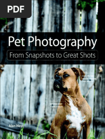 Pet Photography From Snapshots To Great Shots