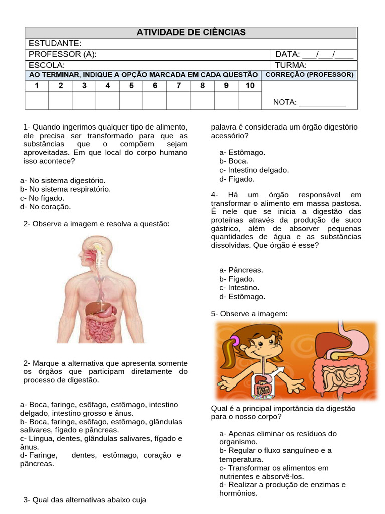 Atividades sobre o Sistema Digestório 5º Ano | PDF | Sistema digestivo ...