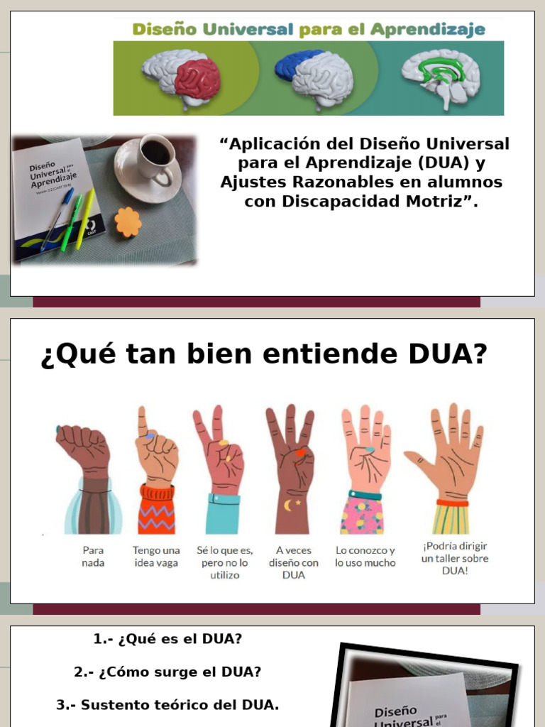 DUA y Ajustes Razonables en Educación | PDF | Planificación | Aprendizaje