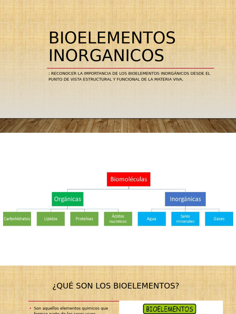 Importancia de los Bioelementos Inorgánicos | PDF | Salud y bienestar ...