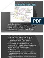 Fac Nerve Slides 090629