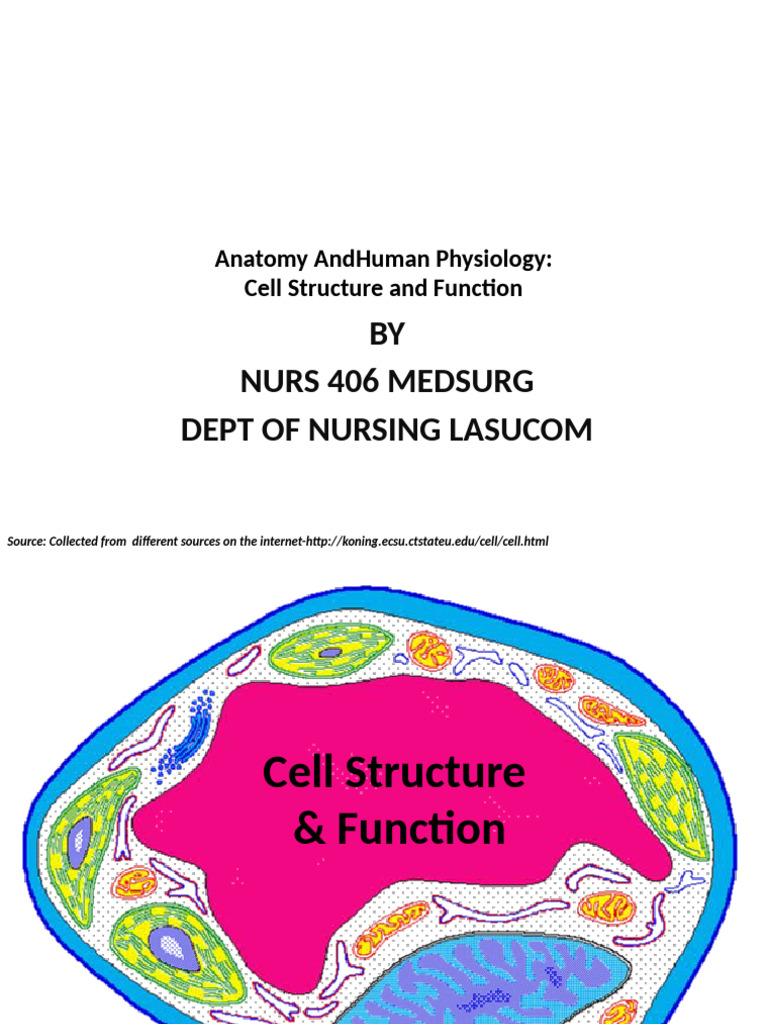 Human Physiology Cell Structure Function I Lecture 31.july - .2012 ...