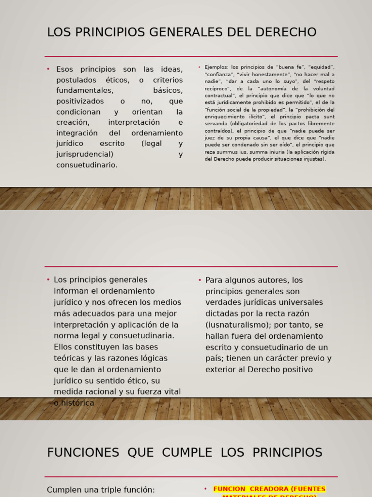 10 Los Principios Generales Del Derecho | PDF | Justicia | Crimen y ...