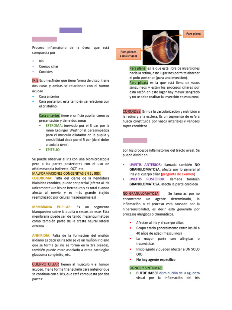 UVEÍTIS | PDF | Ojo humano | Inflamación