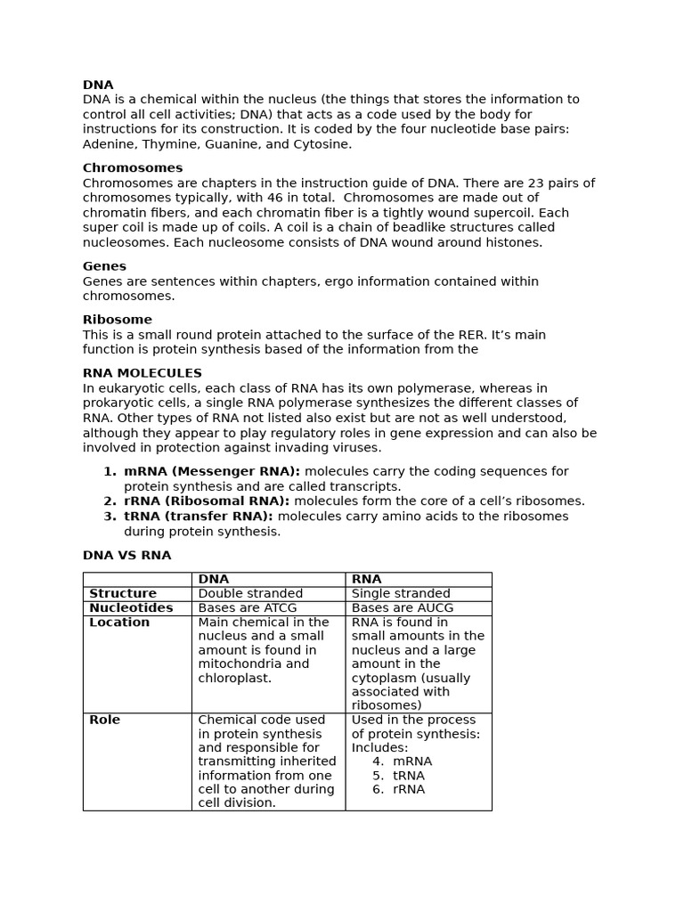 DNA and RNA Introduction and Replication | PDF | Mitosis | Rna