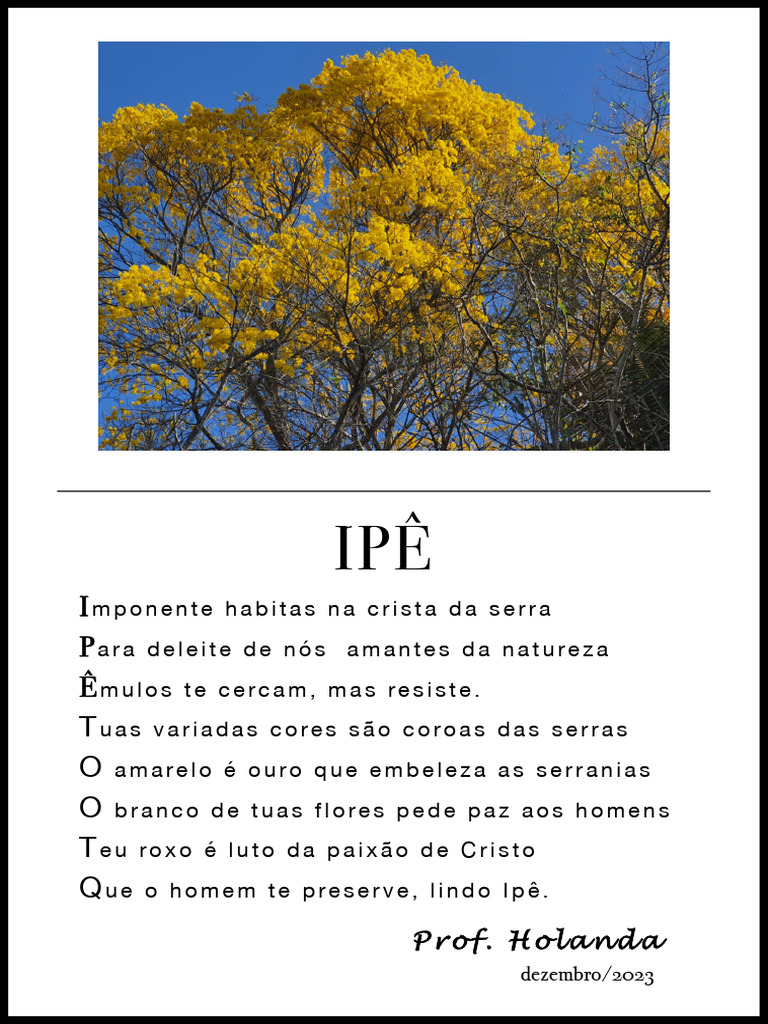 A Beleza do Ipê na Serra | PDF