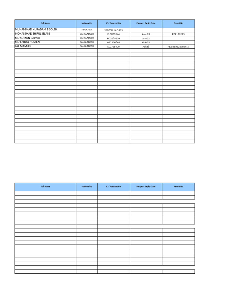 Employee Passport and Permit Details | PDF