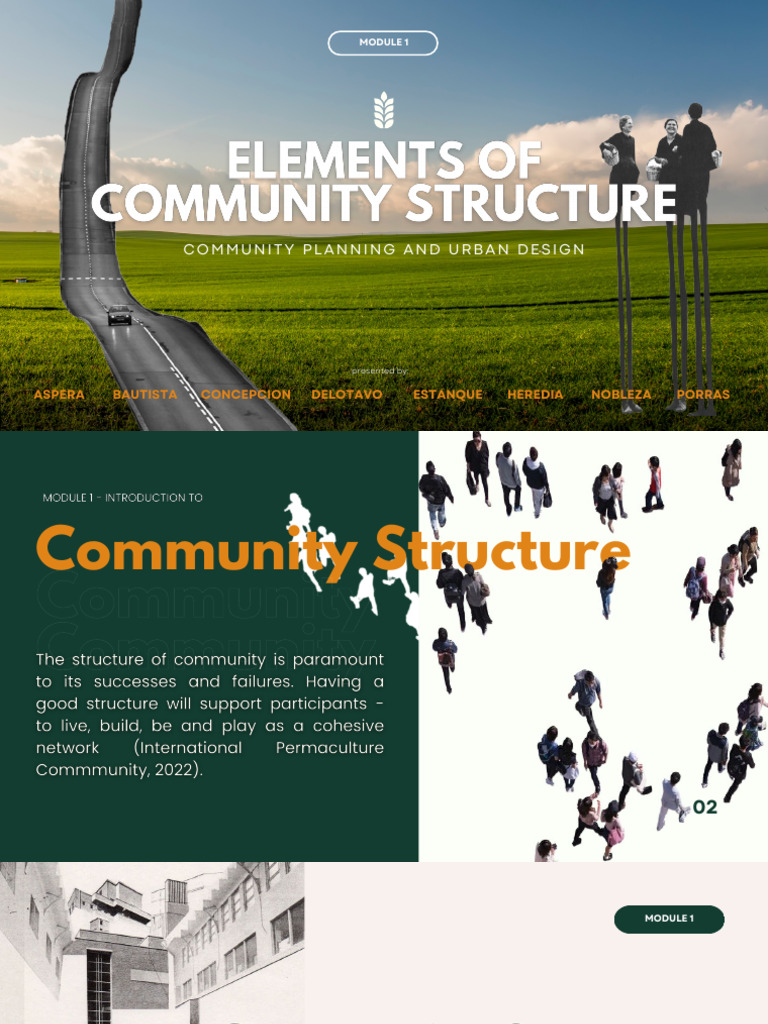 Group 1 Elements Of Community Structure 4a 2024 2025 Pdf