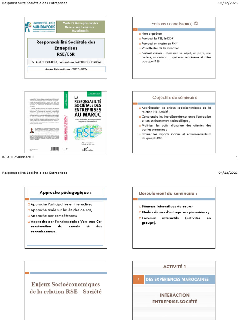 Comprendre la RSE et ses enjeux | PDF | Responsabilité sociétale des ...