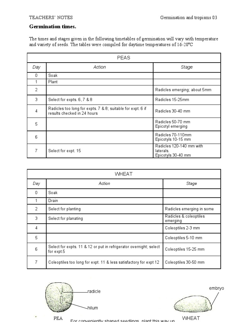 00.3 Germination Times Peas Wheat | PDF