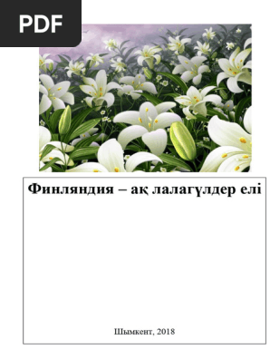 Анальды зонд порно