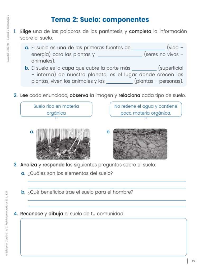 Componentes del Suelo: Guía Educativa | PDF | Suelo | Naturaleza