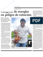 Peligro en Ecológico: Manglares de Tumbes y Sus Cangrejos en Peligro de Extinción