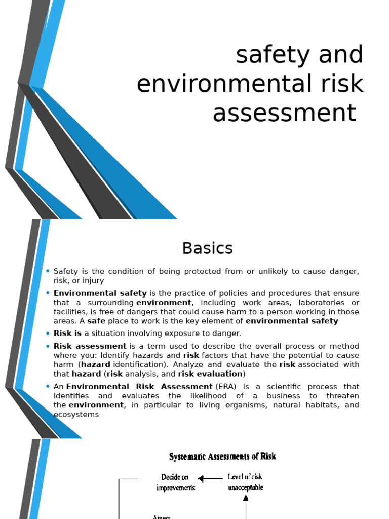 Safety and Environmental Risk Assessment | PDF | Risk | Risk Assessment