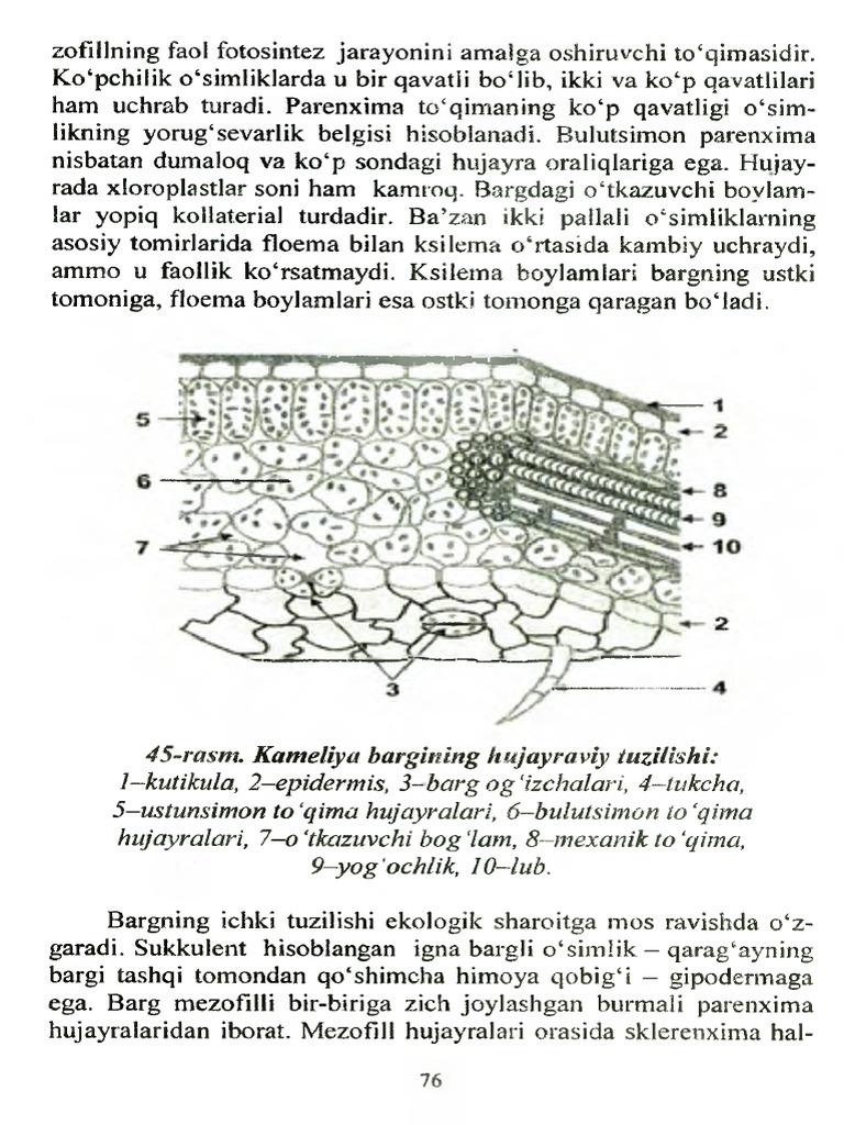 Erotik fon rasmlari ochiq qizlar arxivi