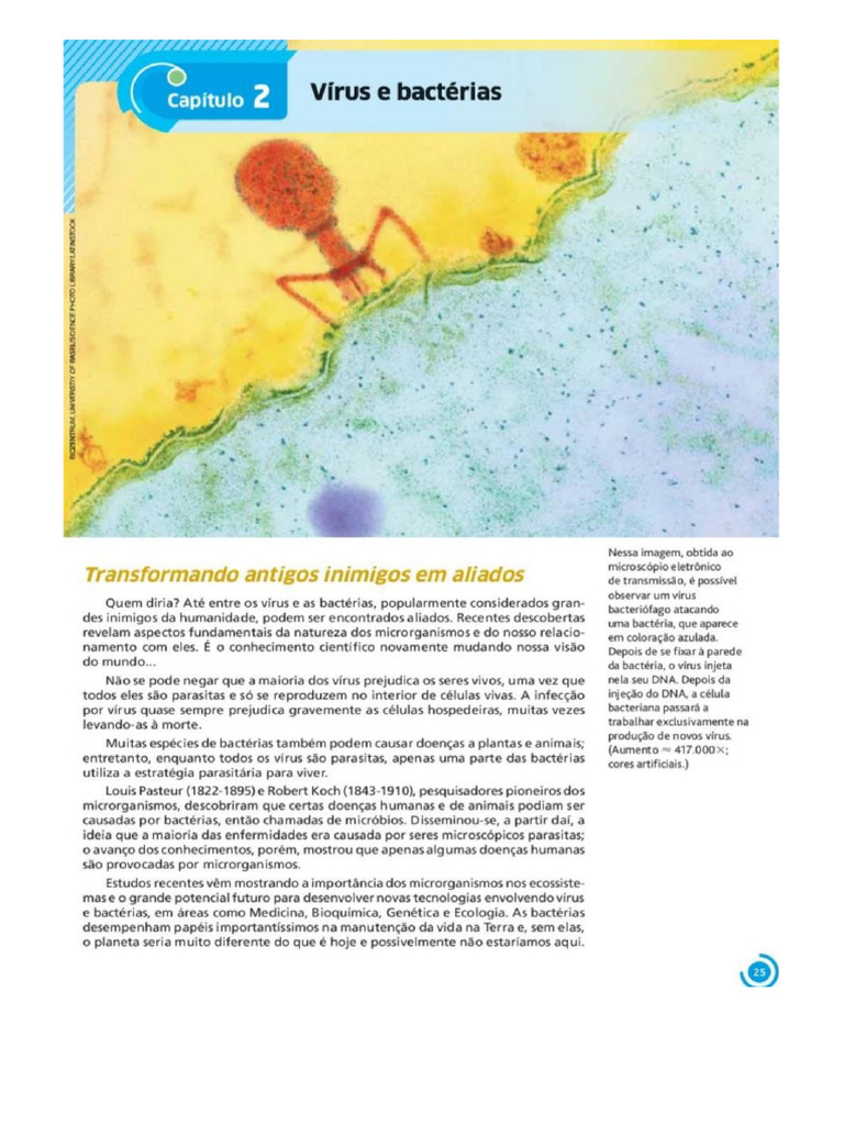 Cap.2 Bio Vírus e Bactéria | PDF