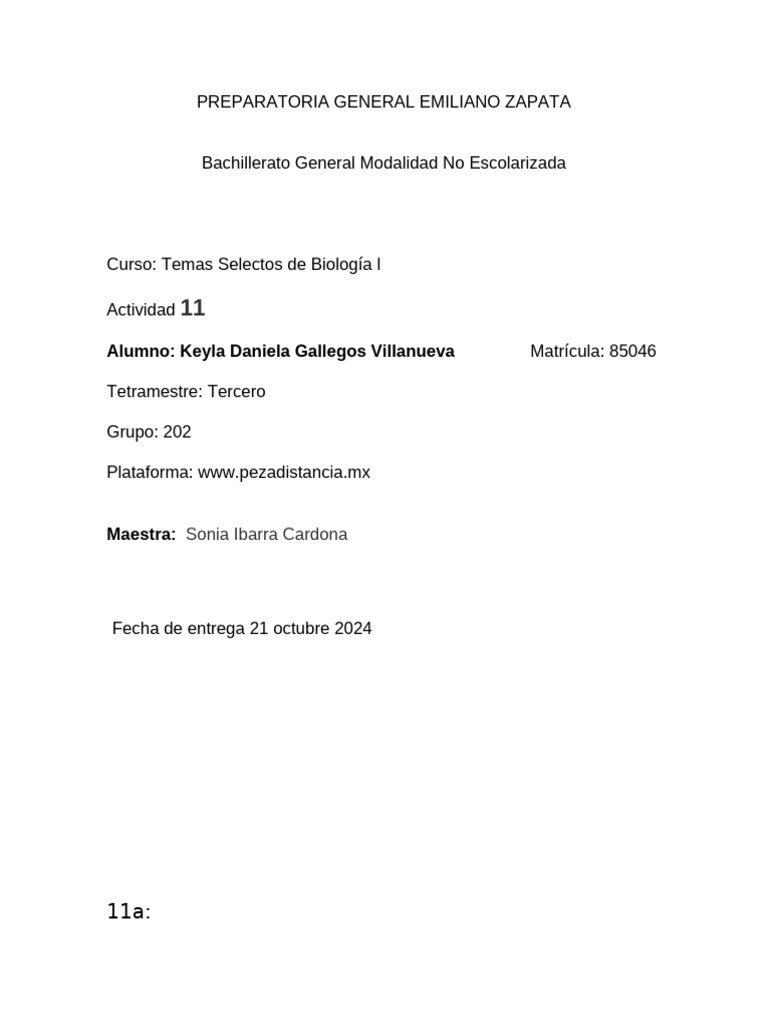 Act11 pdf