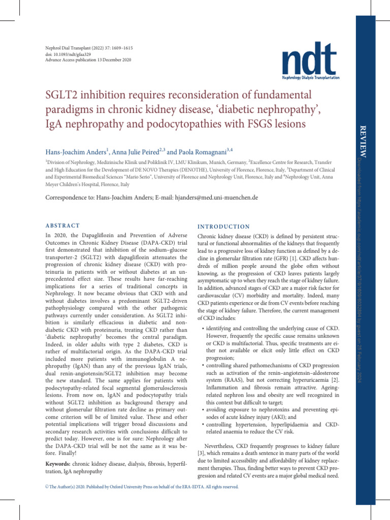 Rethinking CKD Paradigms with SGLT2 Inhibition | PDF | Chronic Kidney ...