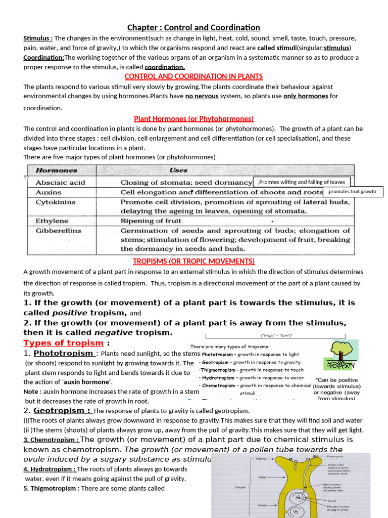 Control and Coordination in Plants and Animals | PDF | Neuron | Nervous ...