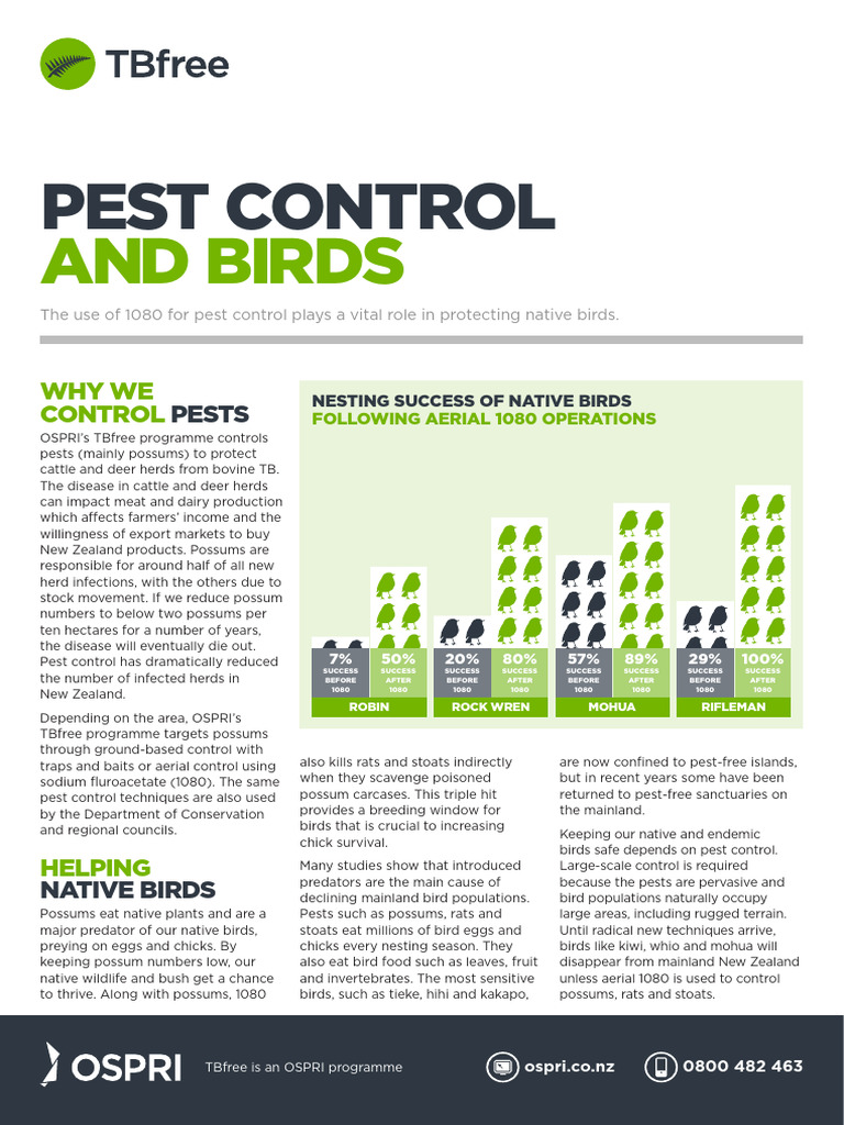 TBfree Pest Control and Birds | PDF | Ornithology | Birds