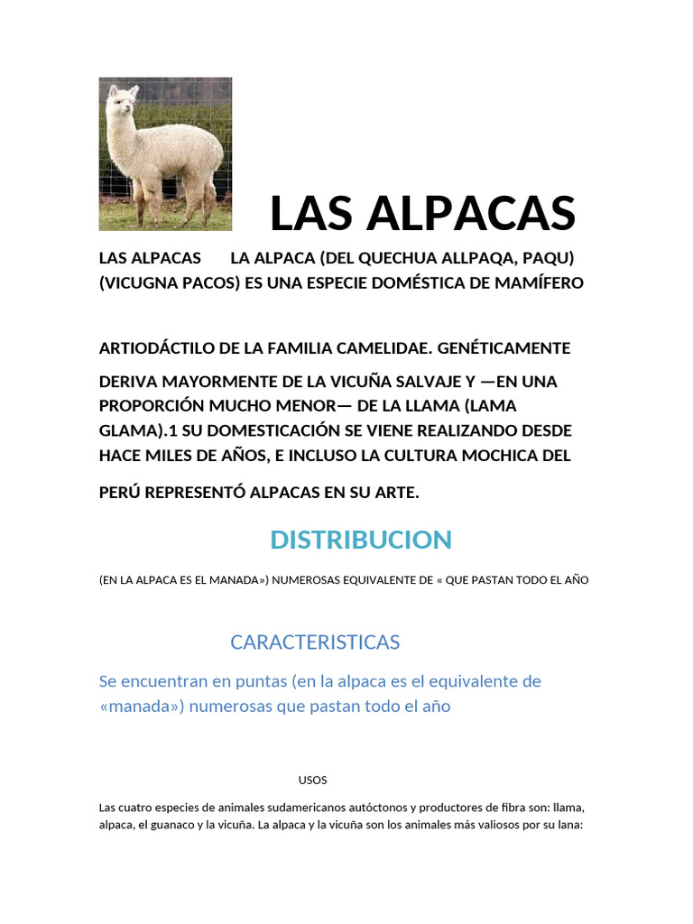 Alpacas: Domesticación y Usos de su Fibra | PDF