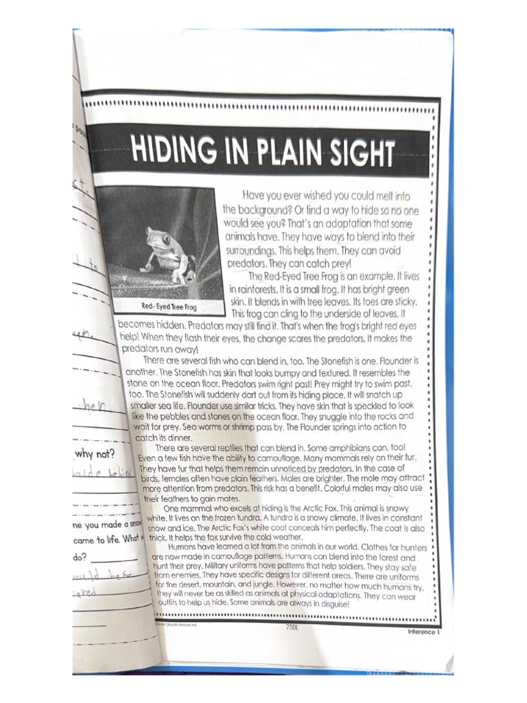 Hiding in Plain Sight PDF