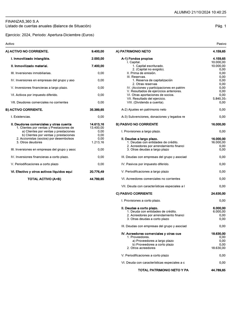 Modelo de Balance de Situación 2024 | PDF | Hoja de balance | Deuda